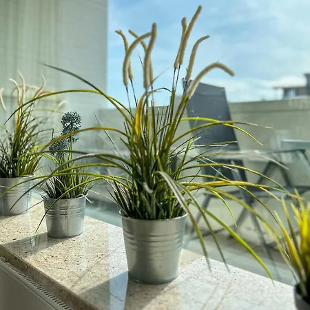 Luv-und-lee-apartment-60 Apartmán *